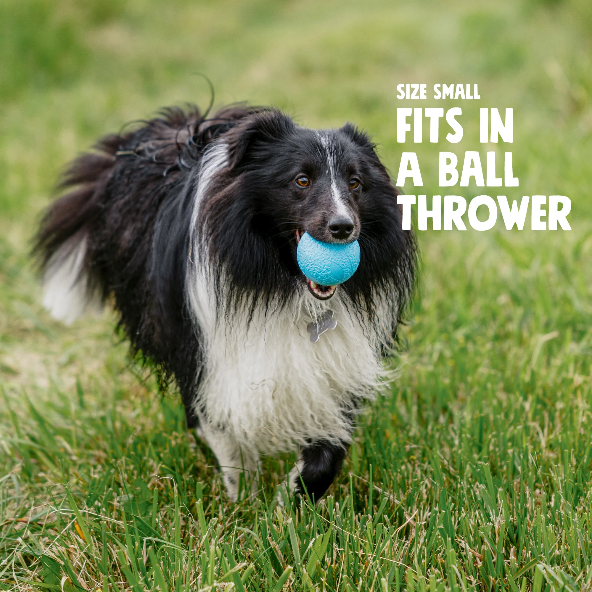 Small Boundr 2-Pack Cardinal/Clover - Image 3